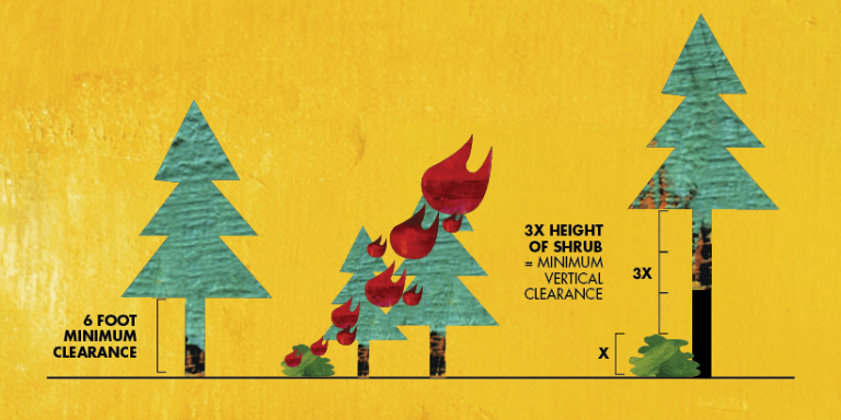 Image of trees and shrubs illustrating the minimum vertical clearance