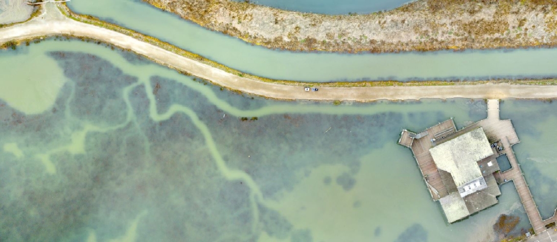 Close-up aerial photograph of San Francisco Bay Trail and Hayward Shoreline Interpretive Center