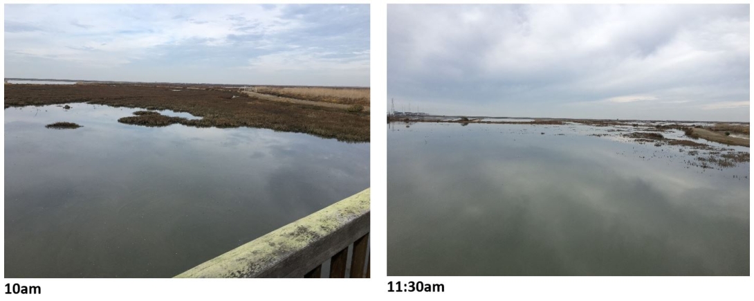 Tide comparison 10am and 11:30am