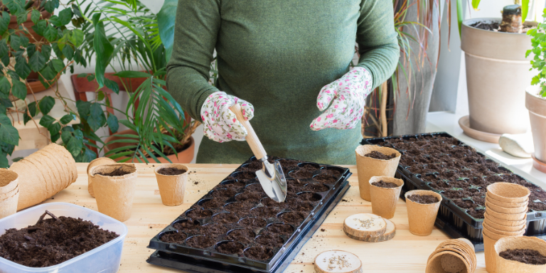A person wearing gardening gloves potting seedlings at a table next to a window