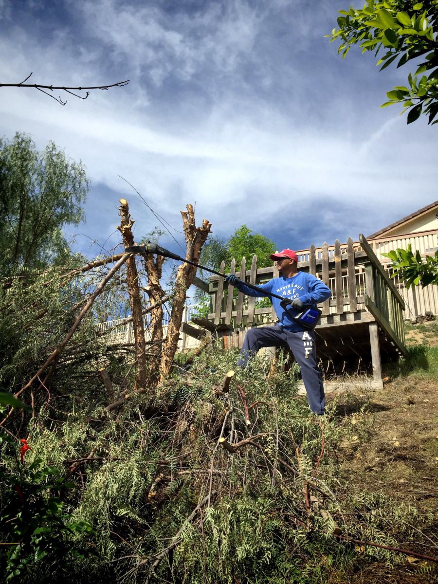 Man cutting down dry brush