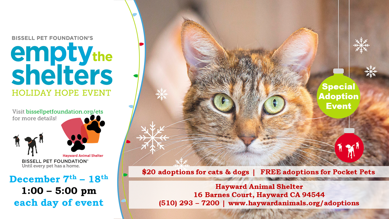 Empty the Shelters Holiday Hope Event - Special Pet Adoption Event | City  of Hayward - Official website