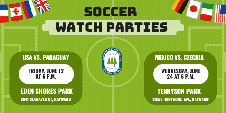 A GIF with flyers and information about the three events happening this summer: World Cup Soccer Watch Parties, Juneteenth, and the