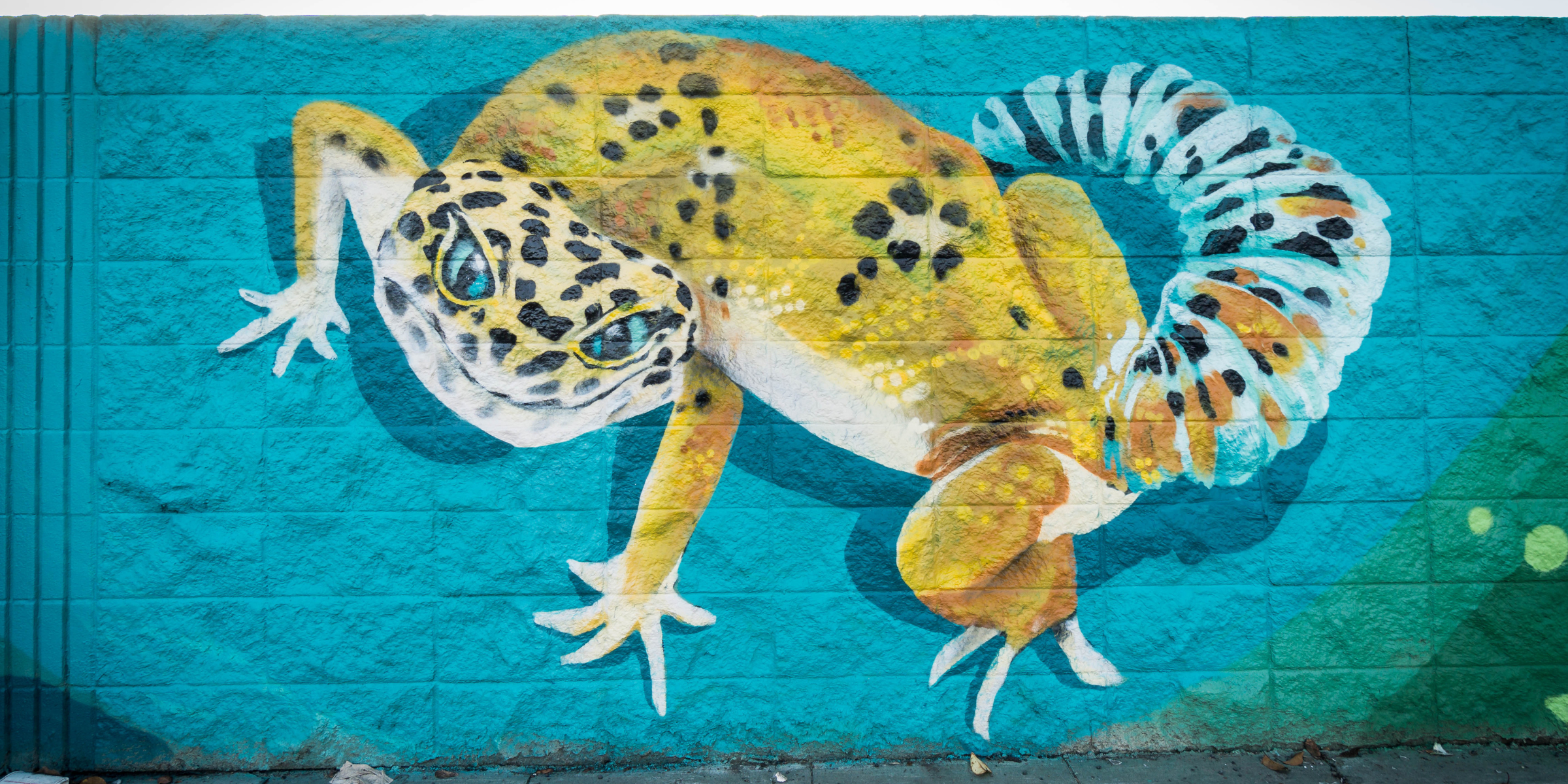 Leopard Gecko Mural