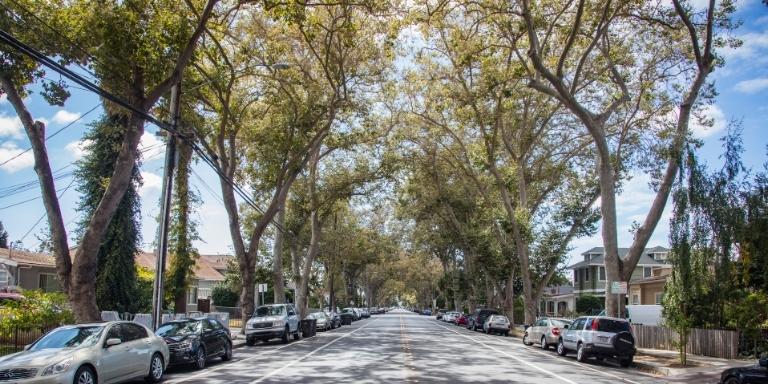 photo of B street, a residential street lined with houses and trees along them.