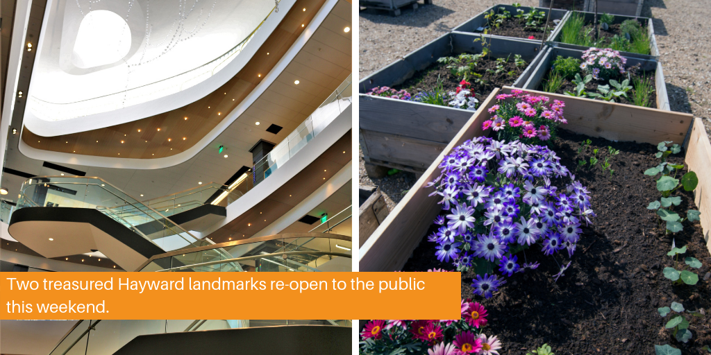 A look at the staircase in the new library and a photo of a planter box