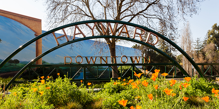 Downtown Hayward Arch