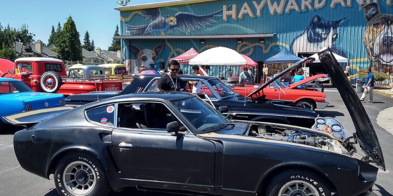 Photo of classic cars on display in front of the Hayward Animal Shelter.