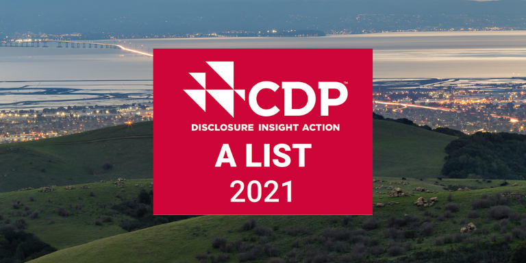 Hayward vista and the red CDP logo