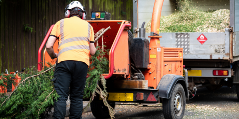 A man putting tree branches into a wood chipper