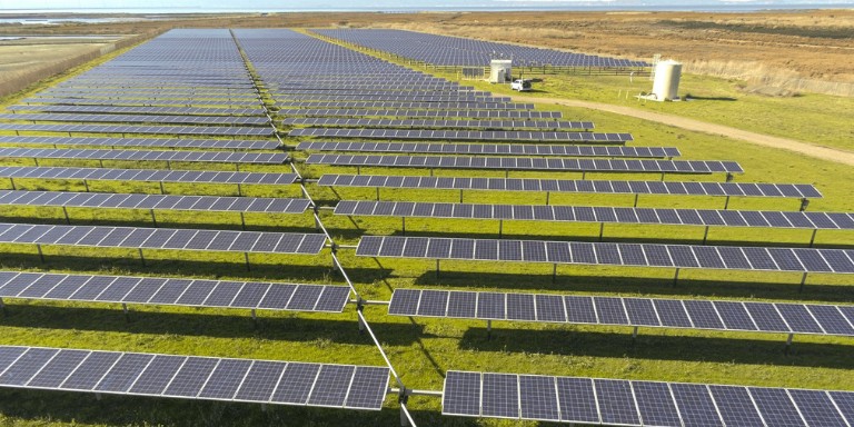 Array of solar panels on green grass. 