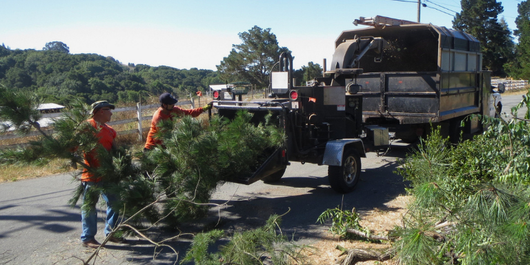 Crews putting branches into a wood chipper