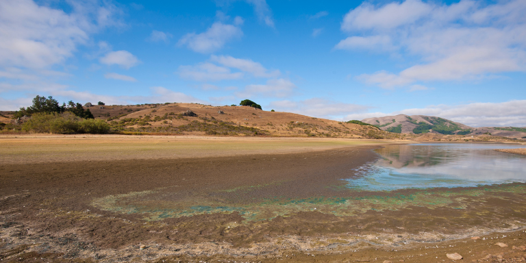 A drying up body of water