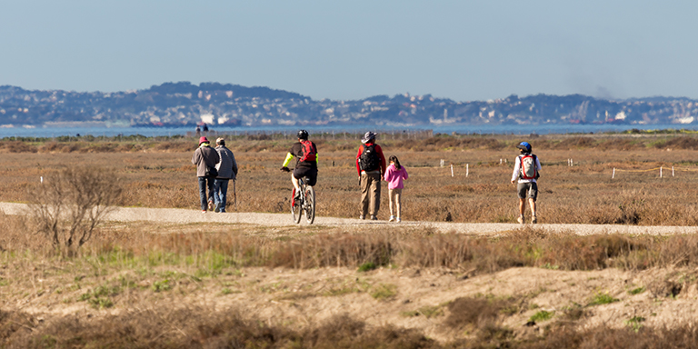 Hayward shoreline Bike and Pedestrian Path