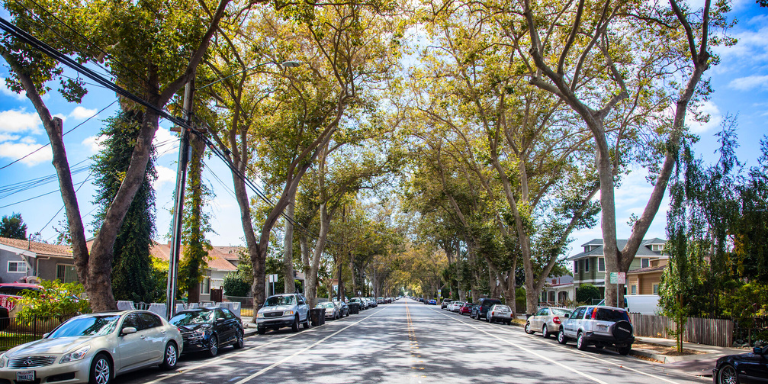Photo of B street lined with trees