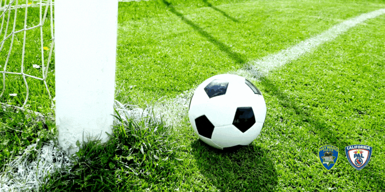 A soccer ball near a goal net