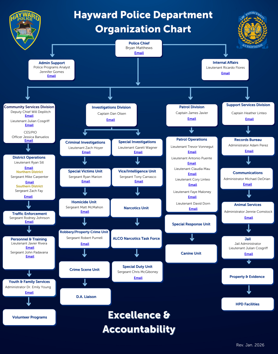 202 Police Department Organization Chart