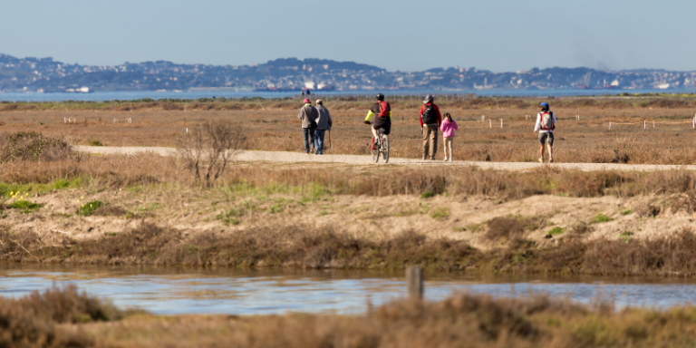 A family walking on one of the shoreline trails