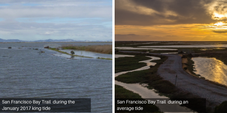 Side by side views of the Hayward shoreline during a normal and king tide