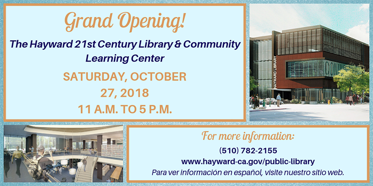Blue Library Grand Opening Flyer