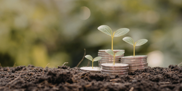 Image of a few stacks of coins in the dirt with plants coming out of them.