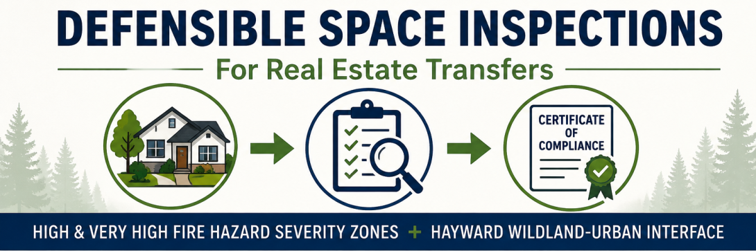 DSI Real Estate Transfers graphic