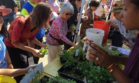 Seed Lending Event