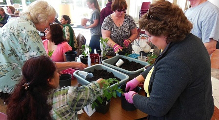 Water Efficient Landscaping Class