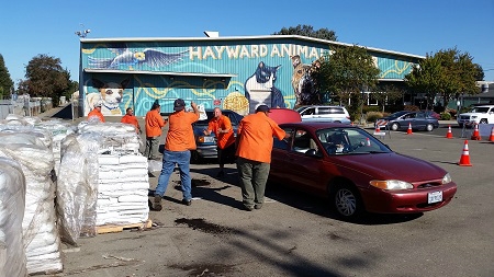Compost Giveaway
