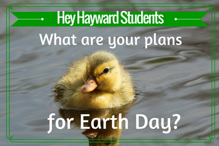 Hey Hayward Students