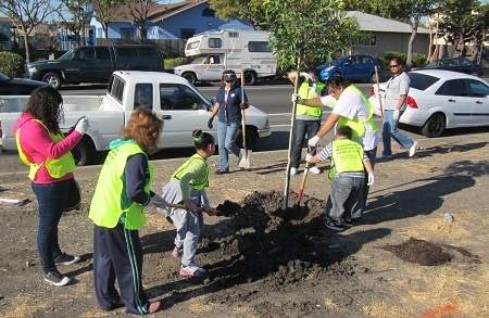 Huntwood Tree Planting