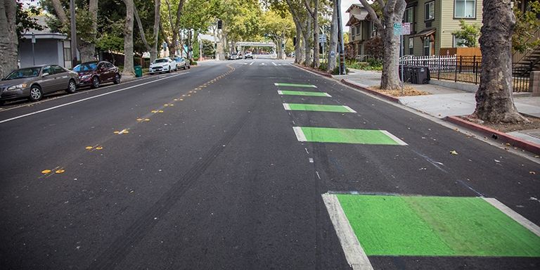 Tree lined street on an overcast day