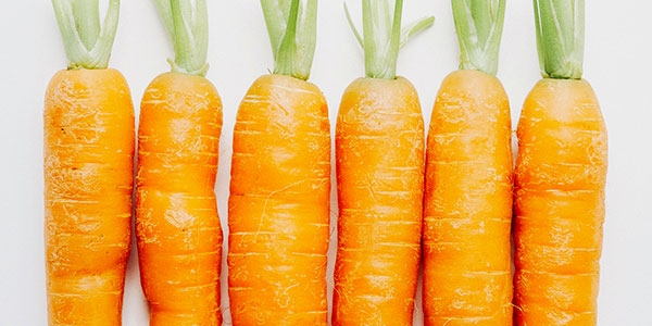 Incentives & Resources for Businesses