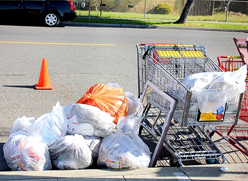 bags of litter and a shopping cart in a gutter